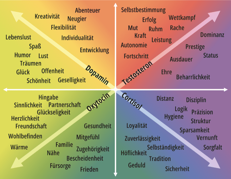 Motivkompass Darstellung, die vier Farbtypen